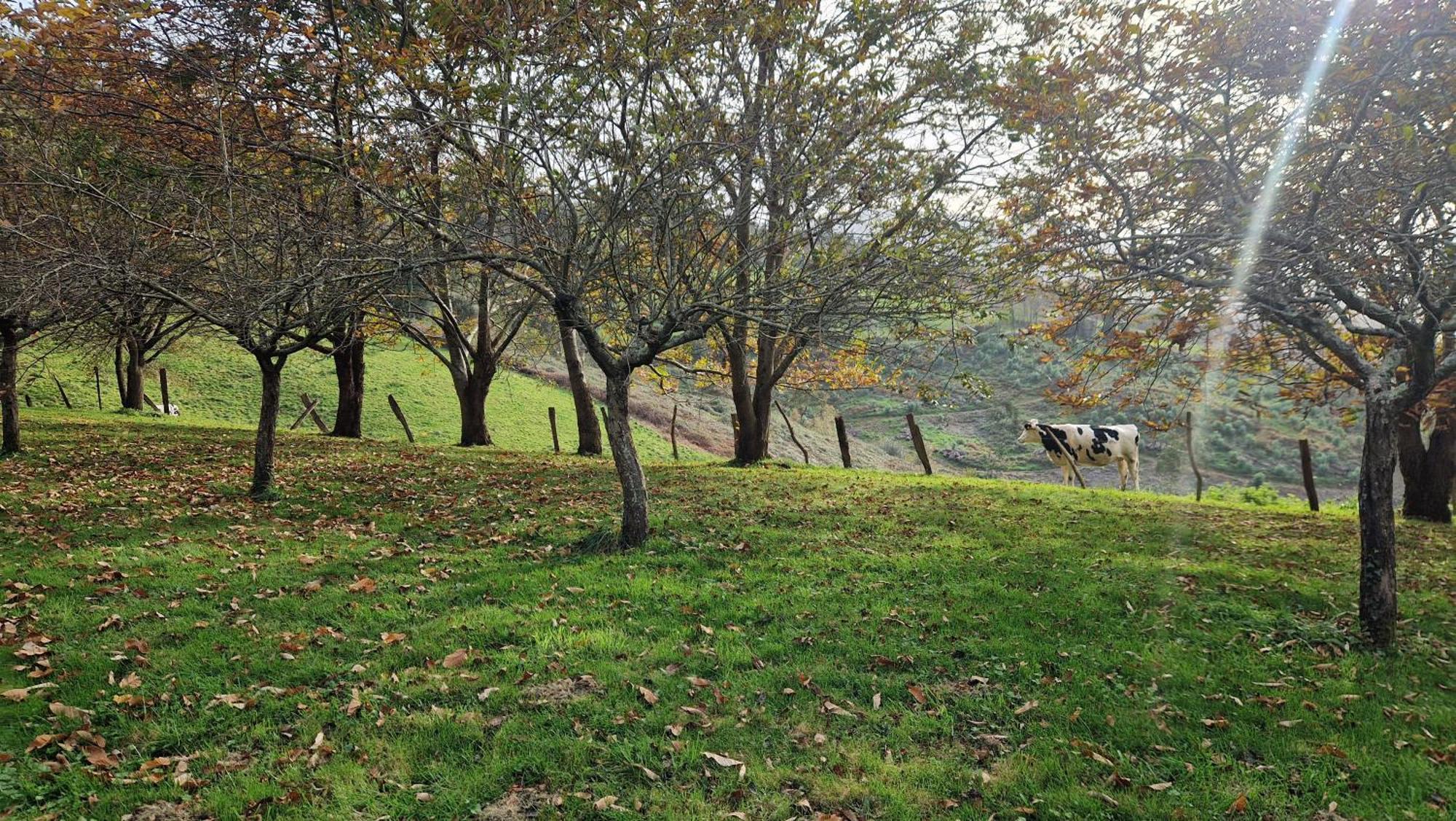 Casa Bezales En Ampuero Cantabria エクステリア 写真